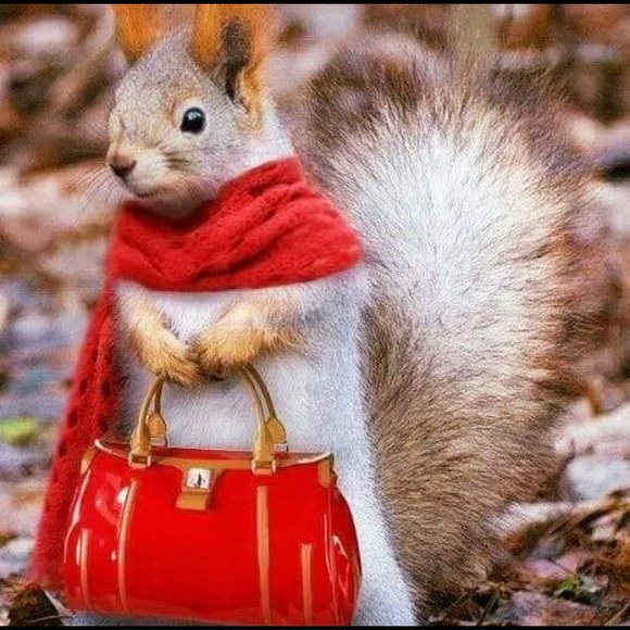 Meet your Posher, Diane - Picture 2 of 2